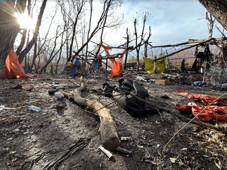 Bits of material and tree branches are strewn about a patch of dirt.