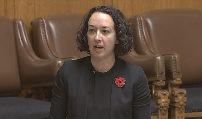 A woman stands and speaks in a legislative assembly.