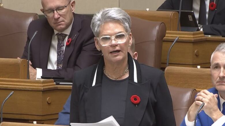 A woman in a blue blazer stands and speaks in a legislative assembly.