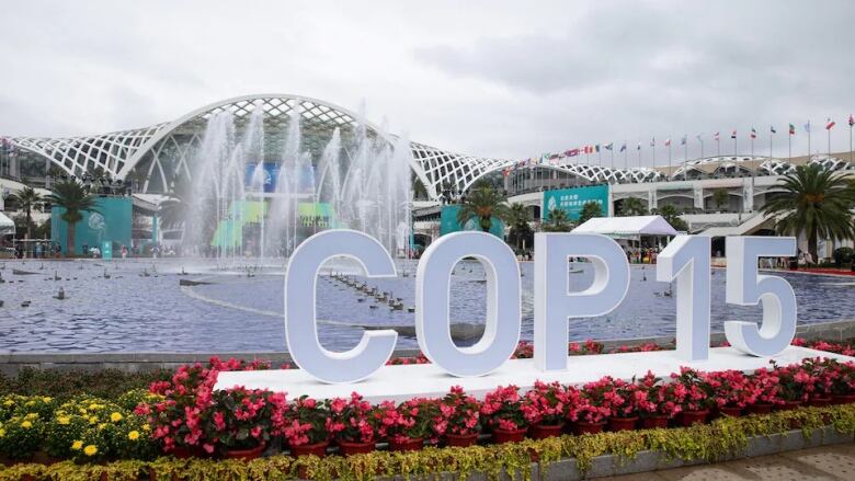 A large sign reading COP 15 sits in front of an outdoor pond and fountain. 