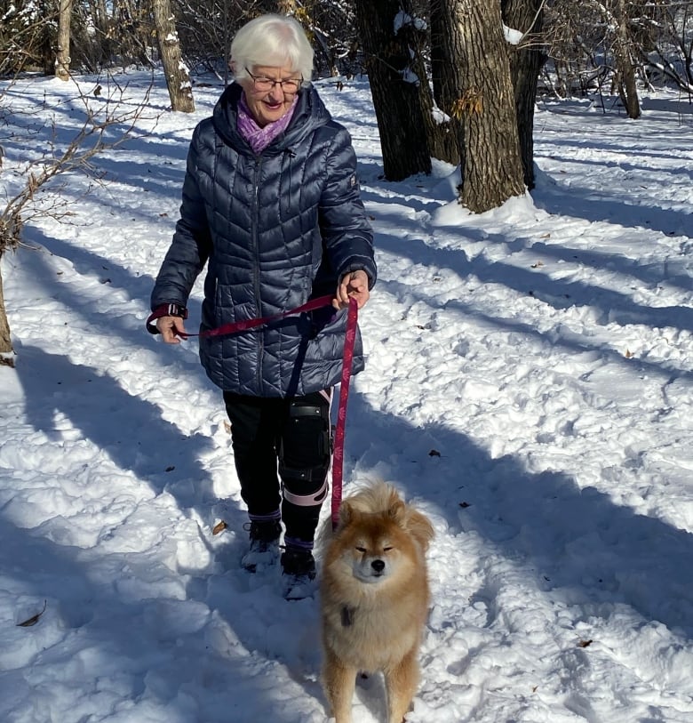 A woman takes a dog for a walk in the snow. 