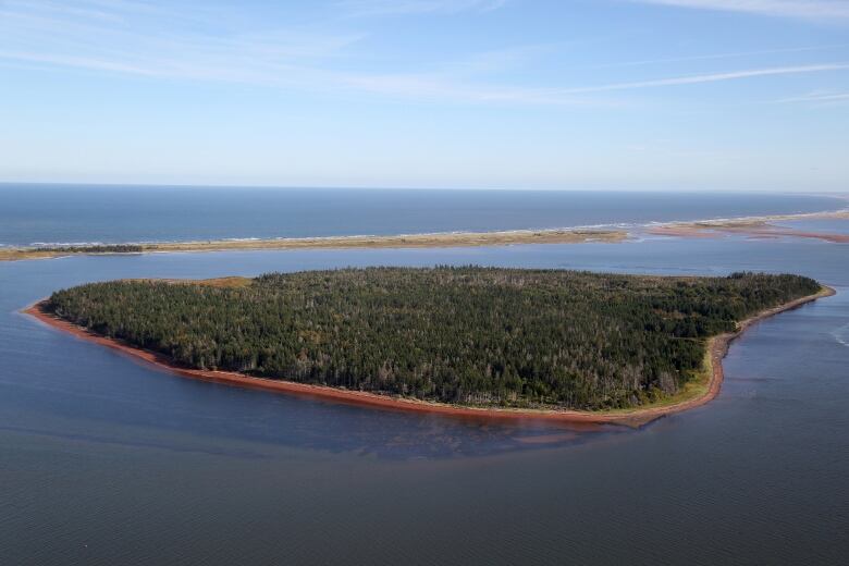 An aerial view of a small island covered in forest and ringed with beach, surrounded by blue water, with a sand dune behind it. 