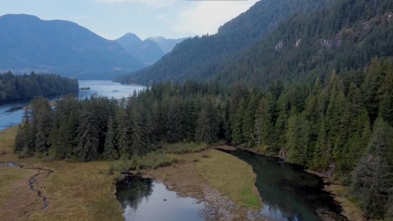 Loughborough Inlet on the B.C. Coast is a culturally and ecologically significant area for the Wei Wai Kum First Nation.