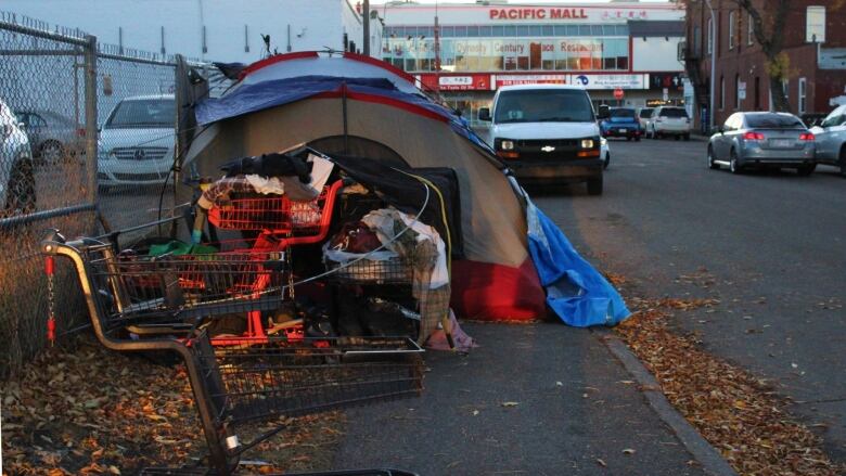 Shopping carts, some empty and some filled with personal belongings, in front of a large tent on a sidewalk.