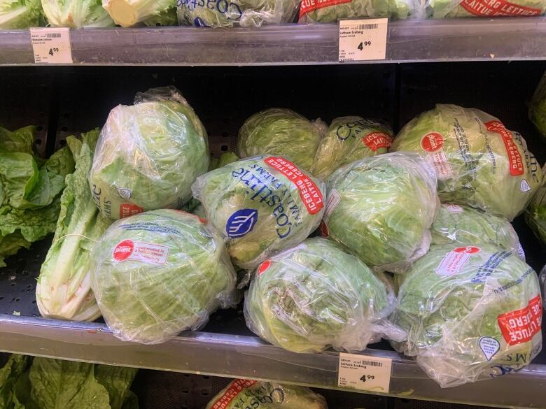 Several heads of iceberg lettuce, stacked and wrapped on a shelf. The lettuce is being sold for $4.99 a head according to a tag.