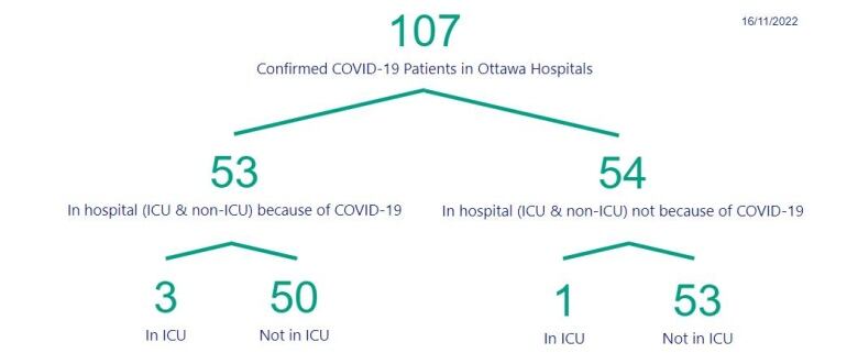 A graphic breaking down Ottawa COVID-19 hospitalizations.