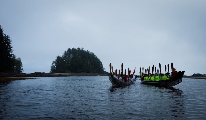 Two boats on a water surface with an island and trees in the background.