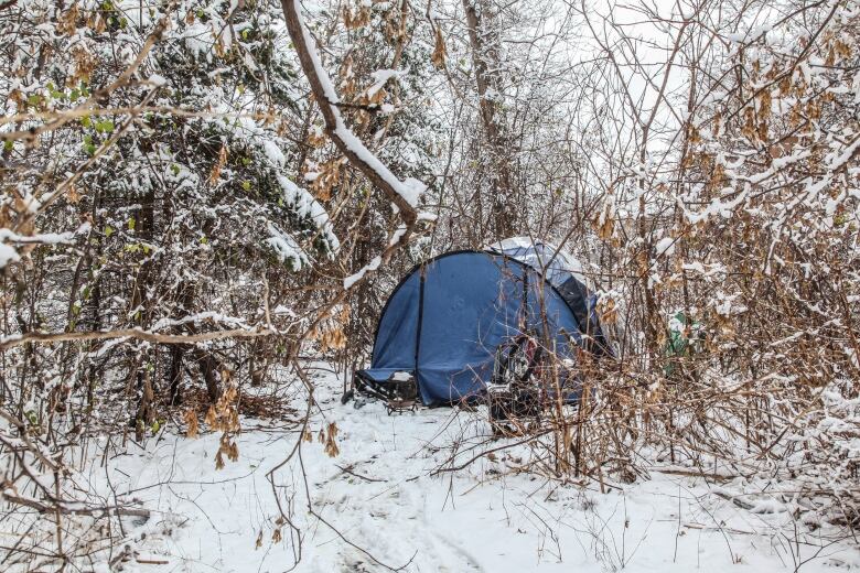 A tent in the snowy woods.