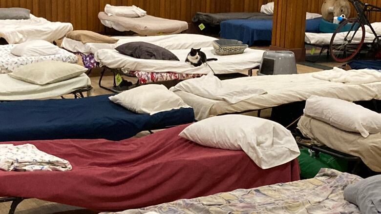 A row of beds inside an emergency shelter. 