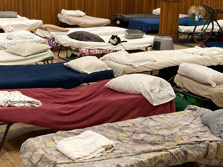 A row of beds inside an emergency shelter. 