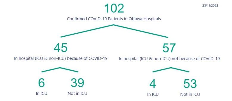 A graphic breaking down Ottawa COVID-19 hospitalizations.