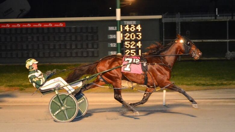 Beach Glass is shown in his final race of the season at the Progress Pace in Delaware on Nov. 23, 2022.