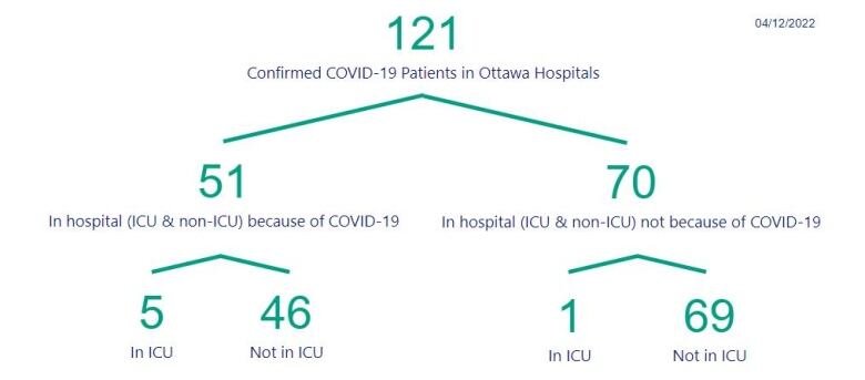 A graphic breaking down Ottawa COVID-19 hospitalizations.