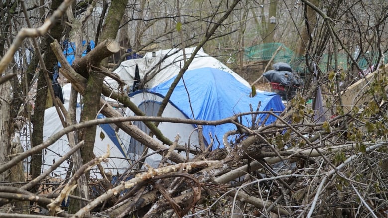 The problem of homelessness has become so pervasive in London, Ont., that dozens of homeless colonies line the Thames Valley Parkway in the greenspaces close to downtown. 