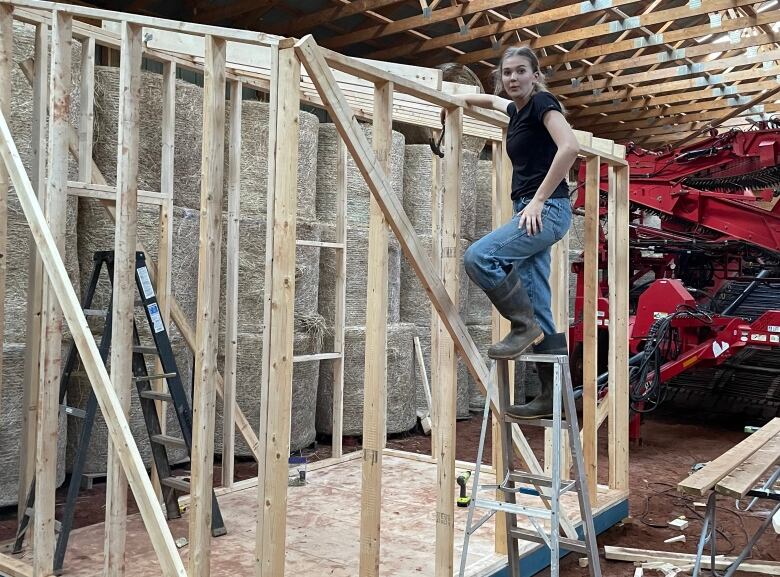 Teen on a ladder beside a wooden structure 