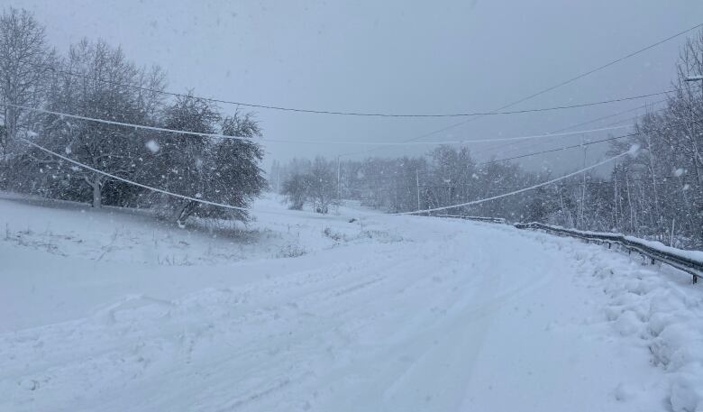 Snow blankets a road and causes a power line to droop.