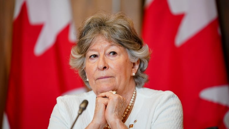 Former Supreme Court justice Louise Arbour attends a press conference.