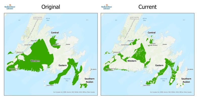 Two side by side maps of the island of Newfoundland (with part of the northern peninsula cut off). Parts of the island are highlighted in green. In the map on the right, marked 