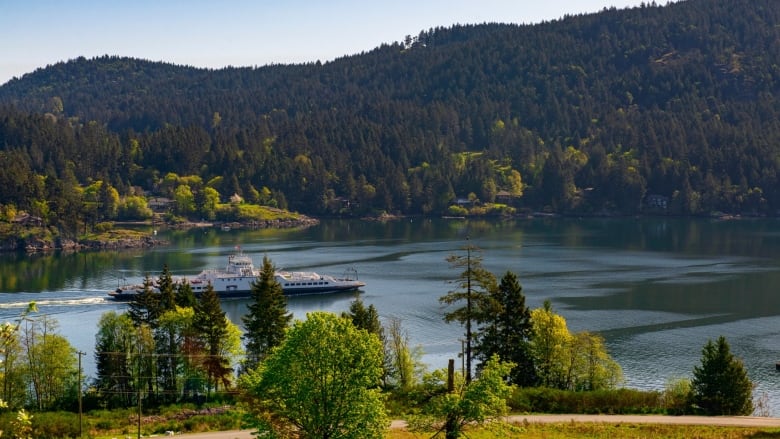 Lush green mountains surround a body of water, where there is a ferry.