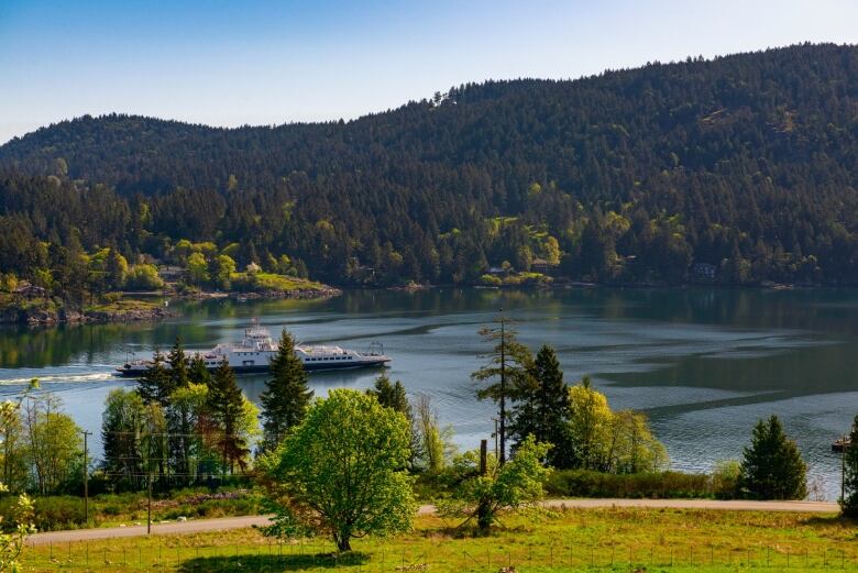 Lush green mountains surround a body of water, where there is a ferry.