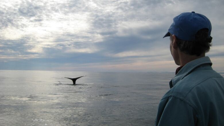 A man from behind watching a whale tail sticking out of a body of water in the distance