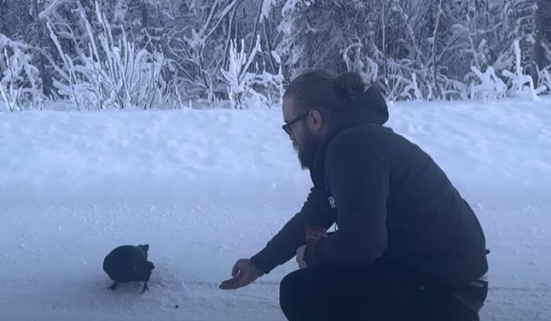 A squatting man holds out his hand to a raven standing in front of him on a snowy roadside.