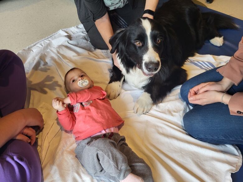 A baby pictured on a blanket with a black and white border collie. 