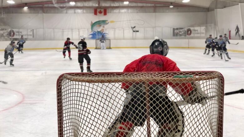 A hockey goalie stands in the net with his back to the camera. A hockey game goes on in front of him.