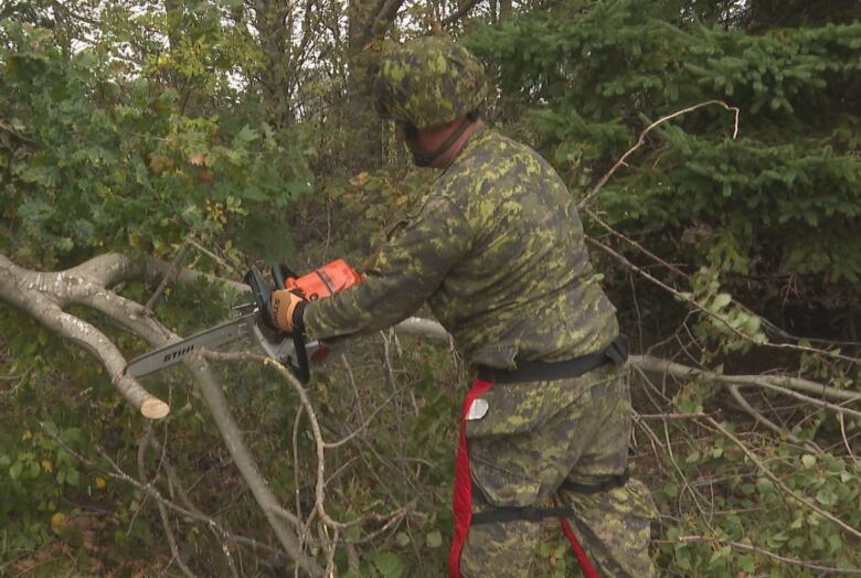 Soldier cutting down a tree