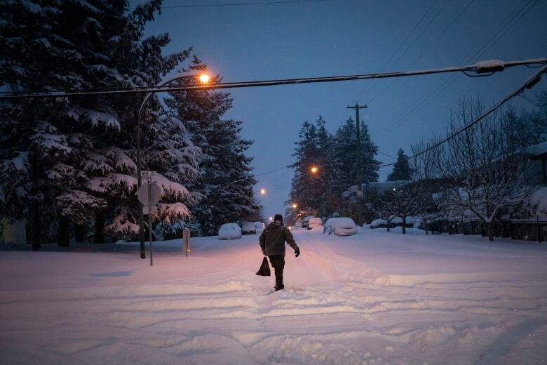 A person walks in the middle of a snowy street at dawn in Surrey, B.C.