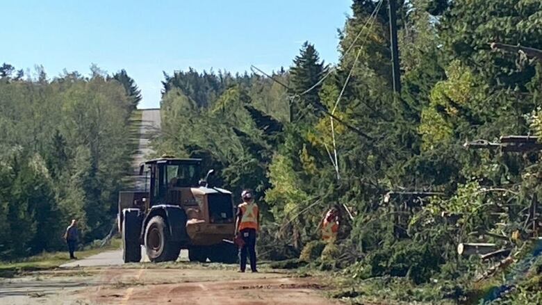 A work crew clears fallen trees from a roadway. 