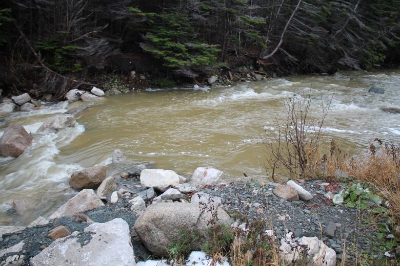 Brown water in a brook.