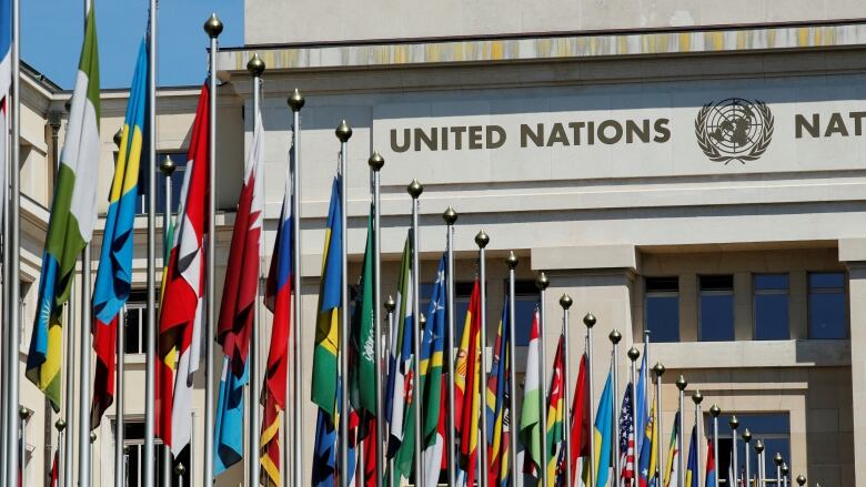 A row of flags is displayed in front of a building.