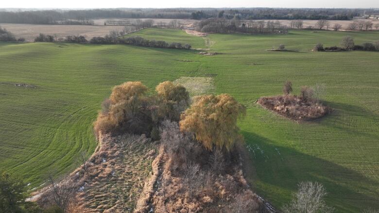 An aerial view of a greenbelt in Hamilton.