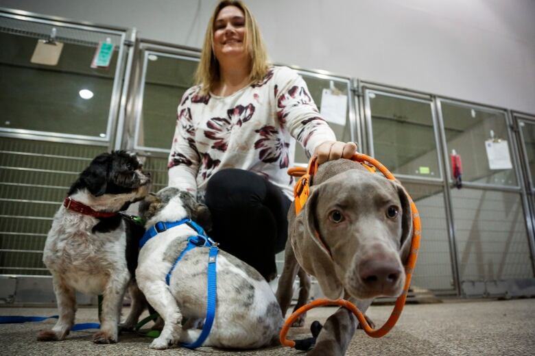 A woman sits behind three dogs in an animal facility with cages in the background.