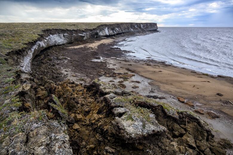 An eroding coastline with water on the right side, green land on the left, and crumbling earth in the foreground.