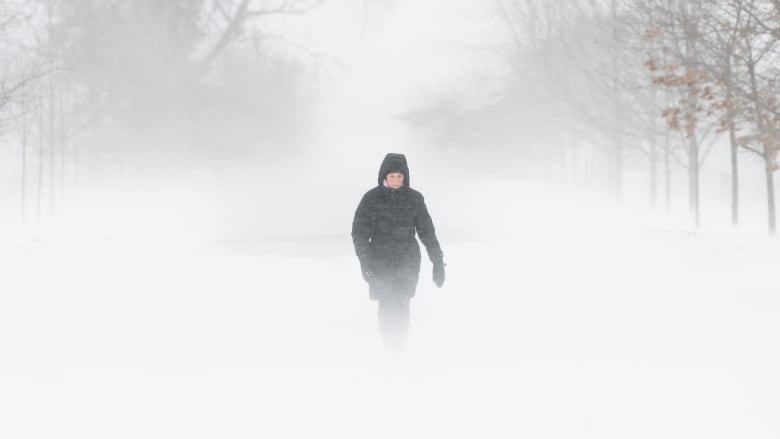 A person wearing a heavy winter coat walks through a snowstorm.