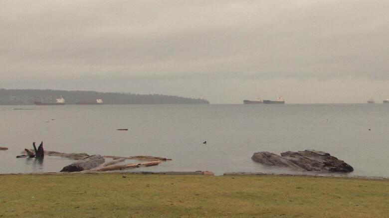 A photo of water levels reaching shorelines as high tides hit the seawall in Vancouver. 