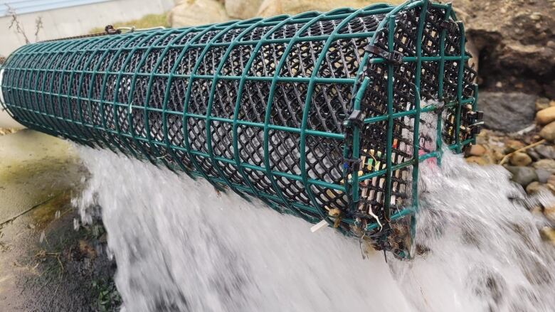 A discharge pipe covered in netting captures debris from exiting into the ocean. 