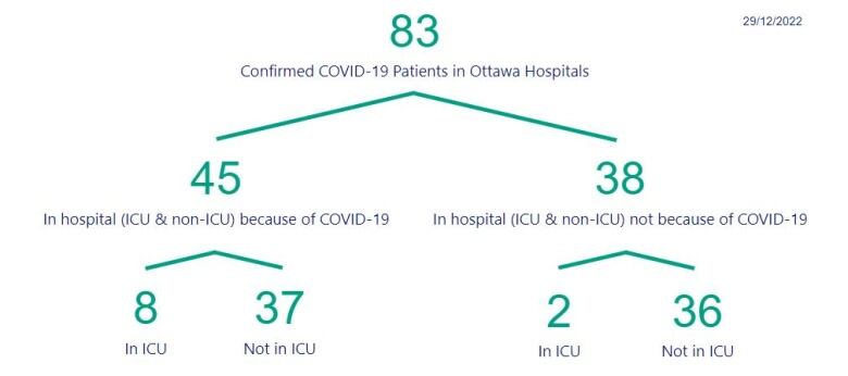 A graphic breaking down Ottawa COVID-19 hospitalizations.