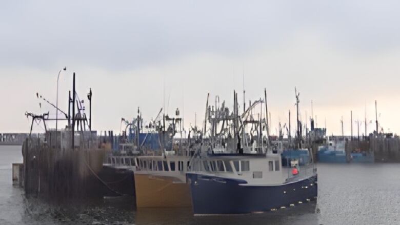 Small fishing boats are docked in calm waters.