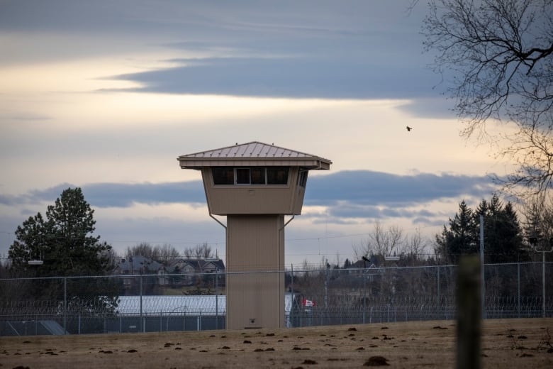 A bird flies over a prison tower, surrounded by a fence.