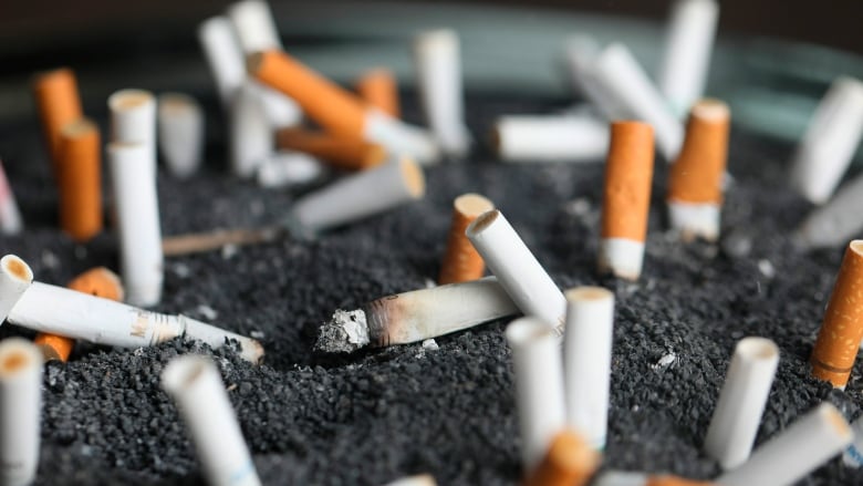 A closeup of cigarette butts in an ashtray.