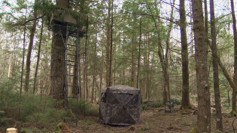 A camouflage deer blind tent sits on the forest floor beneath a large tree, where a second blind is hidden by branches.