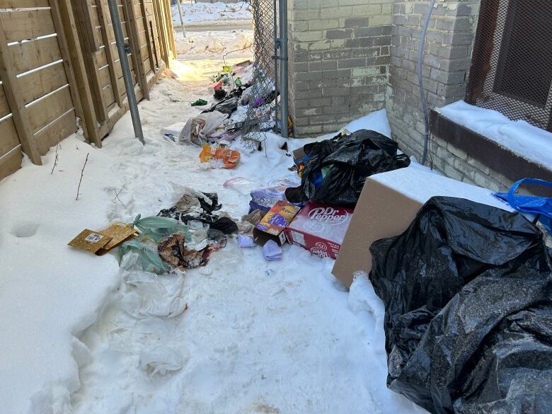 Garbage bins can be seen on the ground, which is covered in snow, between a fence and a brick wall.