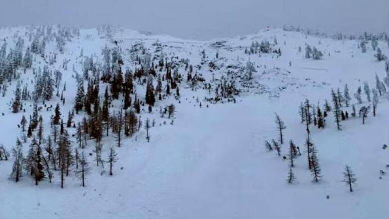 A snow-covered hill framed by trees