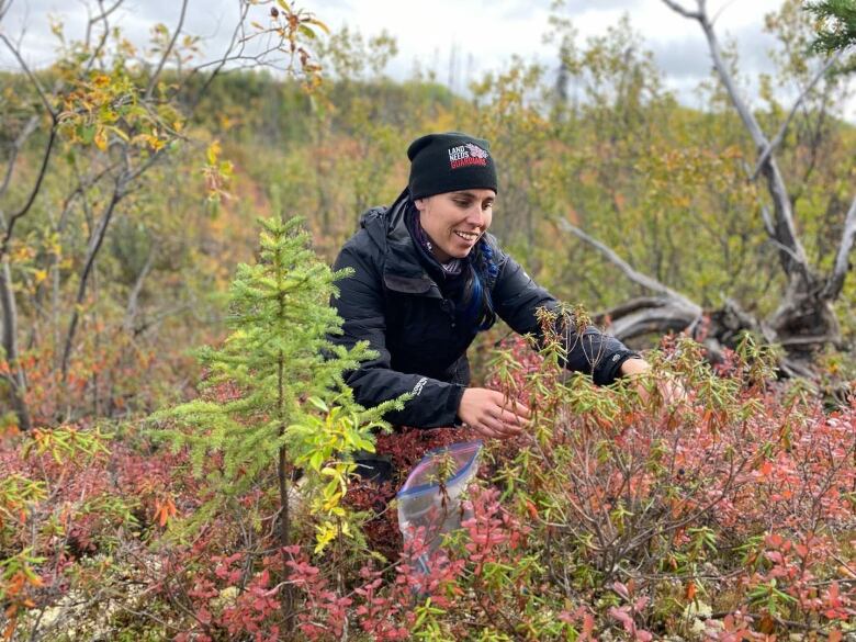 A smiling woman in a tuque picks berries in an autumn landscape.