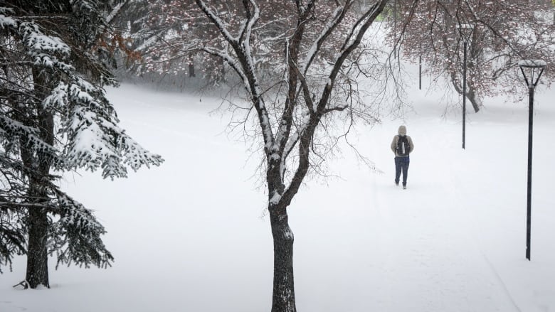 A student wearing a cream-colored jacket and a black backpack walks along a snowy trail with bare trees and light posts. 