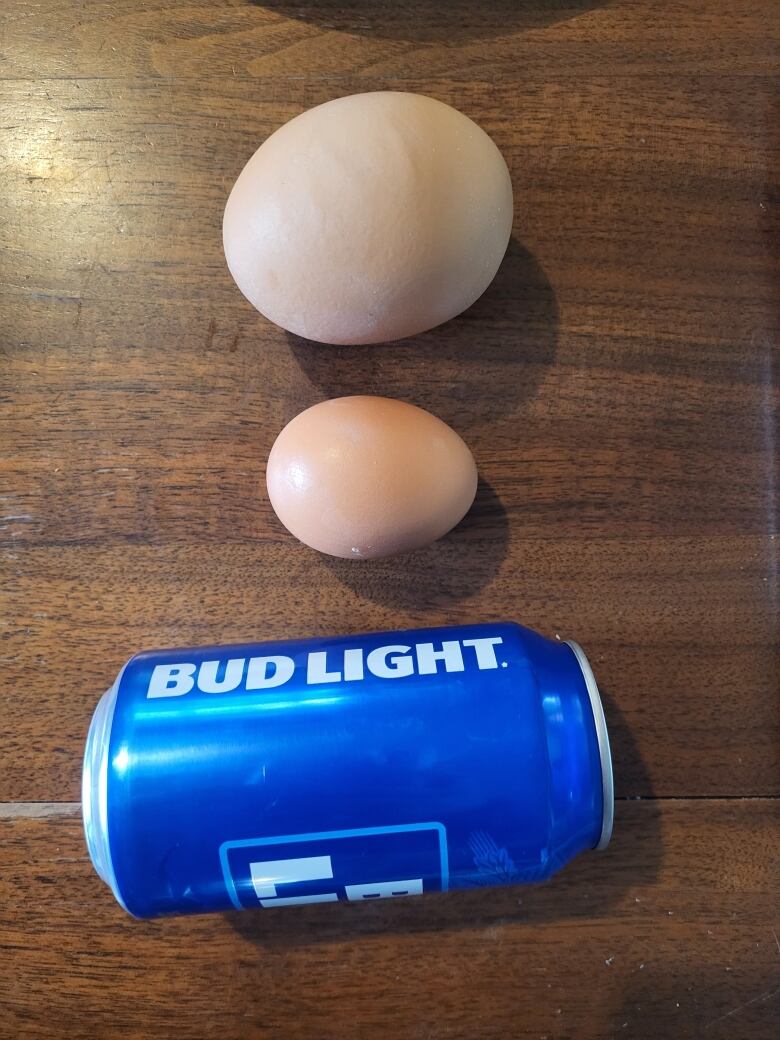 A very large egg in a picture compared with a regular sized egg and a can of Bud Light.