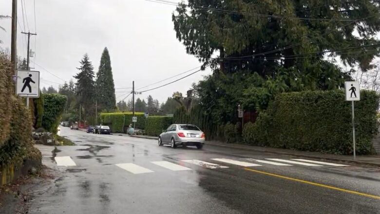 A car crosses a rainy street, with hedges alongside it.